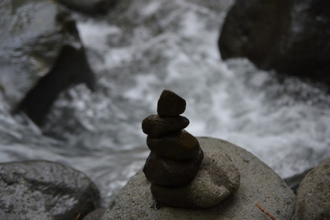 DSC_0098 (2)
