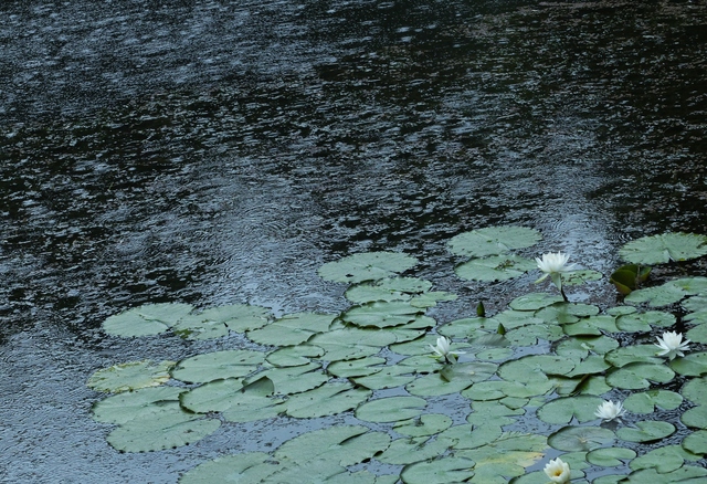 f0282759_0185744