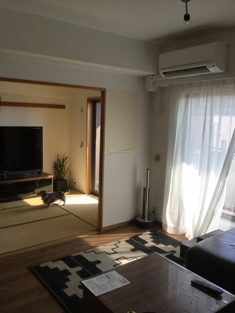 20180226_050026481_iOS